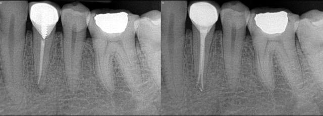 big-apple-endo big-apple-endo