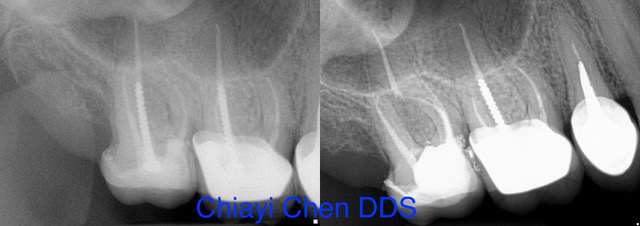 big-apple-endo big-apple-endo